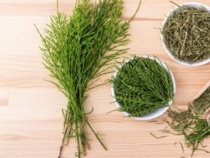Dried Horsetail Herb by Health Embassy in a wooden bowl on a rustic table