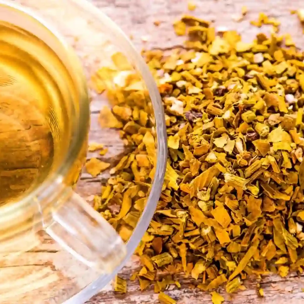 Health Embassy top view of cup of golden Mistletoe herb tea with pile of dried yellow herbs on wooden table