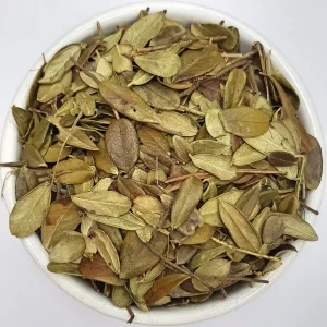 A bowl of organic Cowberry Leaf, a natural herbal ingredient with a blank background.