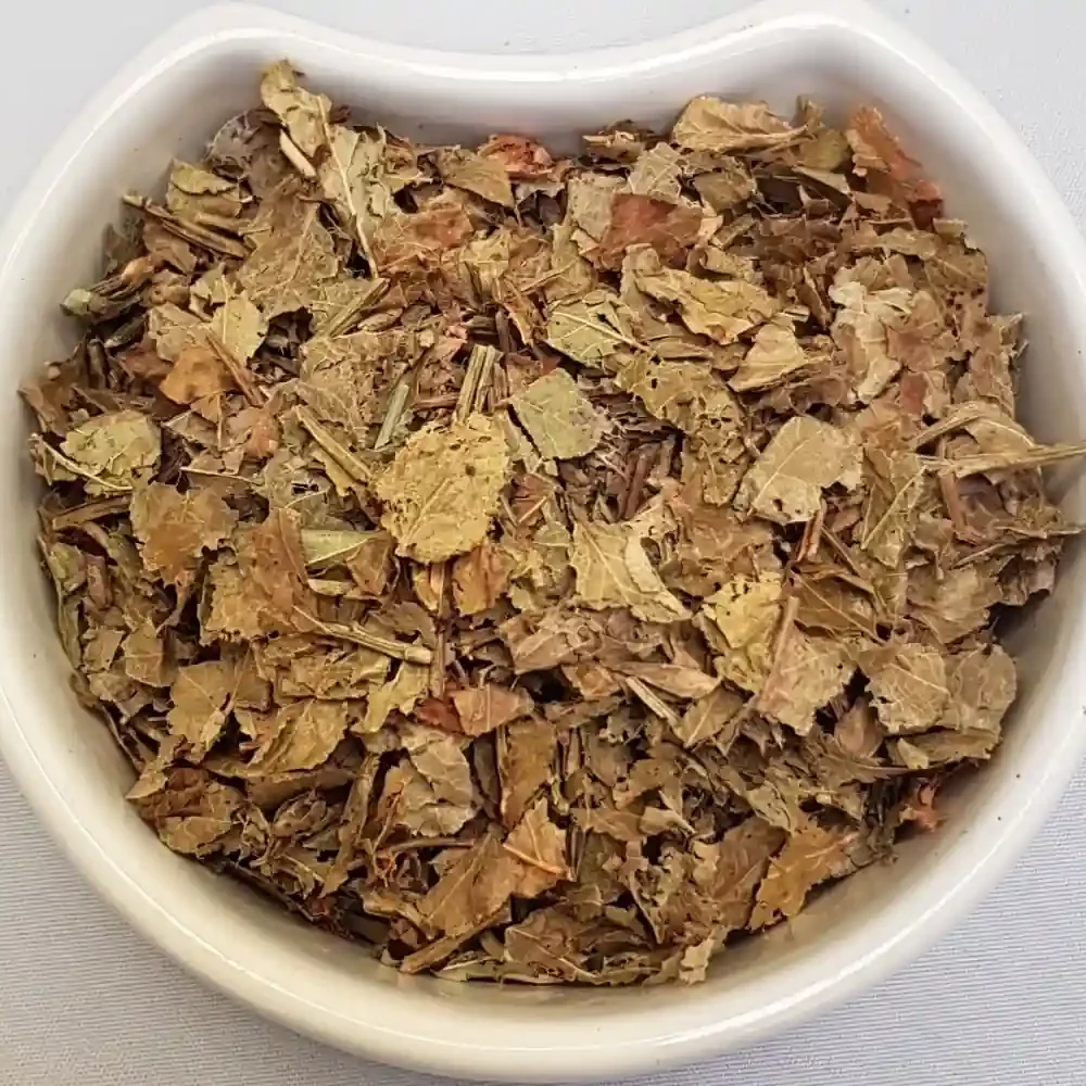 White bowl filled with dried European Blueberry Leaves - Health Embassy